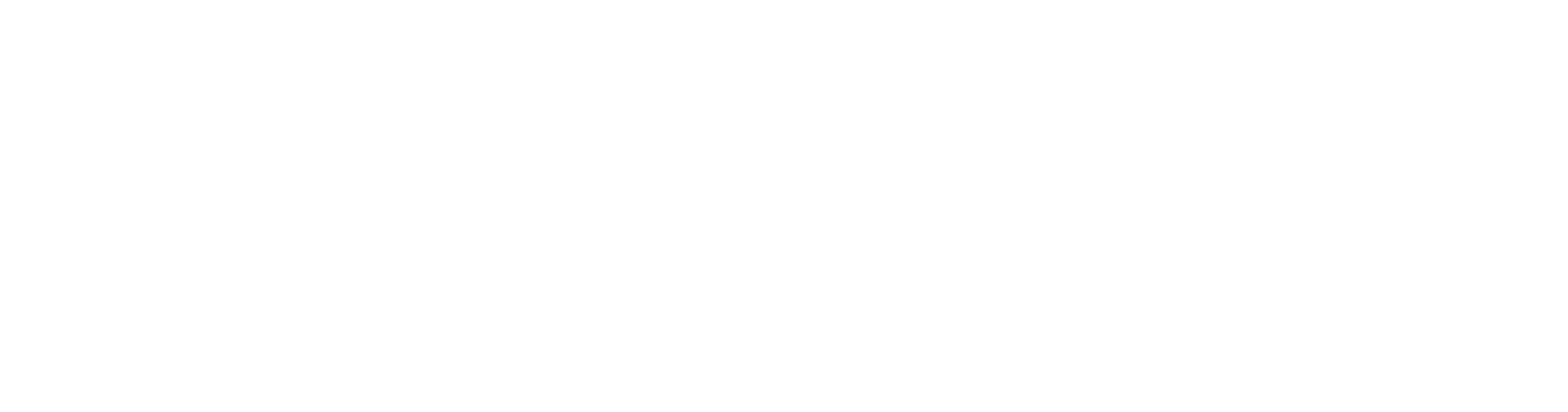 TechSologic